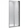 Dušo durys Hydrosan Sh09d Chrom 110 cm 5 mm