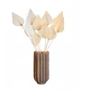 Džiovintos gėlės - 10 vnt. - Bouquet 'palmspear Bleached Baltas' - Puokštė