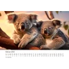 Edition Seidel Premium kalendorius Koala 2025, formatas Din A3, sieninis kalendorius, gyvūnų kalendorius, Australija, gyvūnas koala, eukaliptų miškas, žinduolis, Melanie Viola