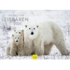 Edition Seidel Premium kalendorius The World of Polar Bears 2025 formatas Din A4 sieninis kalendorius gyvūnų kalendorius Šiaurės ašigalis Grenlandija baltasis lokys plėšrūnas