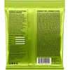 Ernie Ball Regular Slinky Nickel Wound elektrinės gitaros stygos 10-46