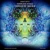 Vinilinė plokštelė Finnegans Wake (juodas 2lp)