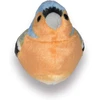 Fisher Price Wild Republic Čivylis pliušinis žaislas su tikrais paukščių garsais