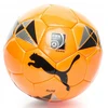 Futbolo kamuolys Puma Elite, dydis 5 + pompa
