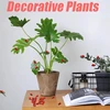 Generic 200 medinių boružių lipdukų, mini dekoracijos Diy amatams