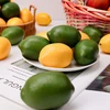 Gresorth 12 vnt. dirbtinių žalių ir geltonų citrinų dekoras, netikri vaisiai, namų vakarėlio festivalio dekoravimo rekvizitai