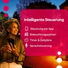 Innr Išmanus sodo prožektorius Xl, Zigbee, veikia su Hue* ir Alexa (reikalingas tiltelis), baltas ir spalvotas, Led prožektorius, lauko prožektorius, Ip67 atsparus vandeniui, pilnas komplektas (2 vnt.)