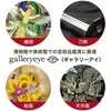 Žiūronai Kenko Monokuliaras Gallery Eye 014707 6 x 16 Juodas Pilnai Daugiasluoksnis Artimiausias Fokusavimo Atstumas 25 cm Pagaminta Japonijoje Meno Stebėjimui Juodas