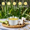 Kercamkel didelė citronelių žvakė lauke, 2 x 473 ml - 120 valandų citronelių žvakės lauke, lauko žvakė terakotos dubenyje - natūralaus sojų vaško žvakių rinkinys balkonui, iškylai, terasai, stalo dekoravimui