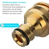 Krano jungtys - 2 vnt., 1/2 colio ir 3/4 colio bsp 2-in-1 vidinis sriegio krano adapteris, jungtis kranams su sriegiu, sodo krano jungtis
