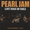 Vinilinė plokštelė Lost Dogs In Chile