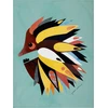 Maxwell & Williams Pete Cromer reversible padėkliukai su įvairiais gyvūnų motyvais, 6 vnt., 43,5 x 28,5 cm, dovanų dėžutė, polipropilenas, įvairių spalvų