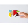 Medinis Tangram žaidimas visai šeimai (4 rinkiniai)