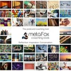 Metafox 'embracing Diversity' – 52 kortelės įvairovei, lygybei ir įtraukčiai skirtos mokymams, darbo vietos kultūros žemėlapis – naudokite kaip motyvacines korteles, pokalbių pradmenis, savirefleksijos korteles