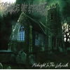 Vinilinė plokštelė Midnight in the Labyrinth