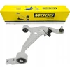 Moog Svirties pakaba ni-wp-2803