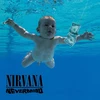 Vinilinė plokštelė Nevermind & In Utero