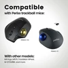 Perixx Peripro-303x2c 1.34 colio rutulinis kamuoliukas, 2 vnt. - pakaitinis kamuoliukas, skirtas M570, M575, Perimice-517/520/717/720 ir kitoms 1.34 colio rutulinėms pelėms - blizgus violetinis ir geltonas