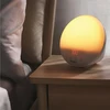 Philips Wake-up Light žadintuvas su spalvota saulėtekio imitacija, 20 šviesos lygių, 7 natūralūs garsai, naktinė lemputė (modelis Hf3531/01)