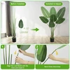 Plusfive dirbtinis margalapis paukštis rojus augalas, 160 cm, bananų medis, dirbtinis augalas, didelis, dirbtinis bananų augalas, strelitzia augalas, dirbtinė palmė, netikras augalas, dirbtinis augalas, balkonas, namai