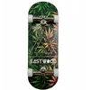 Profesionalus Eastwood Fingerboard Starter rinkinys, medinė lenta