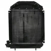Radiatorius Ford 81805483, 957e8005