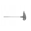 Raktas Torx security T25 su skyle Proline