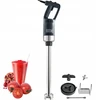 Rankinis blenderis, gastronominis mikseris 500w 50.8 cm