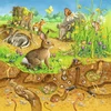 Ravensburger 00.008.050 49 dalių dėlionė - dėlionės (dėlionė iš plytelių, menas, vaikams, mergaitėms, 5 m., 210 mm)