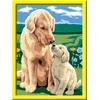 Ravensburger Piešimas pagal skaičius 28465 Delfinas, Motinos meilė, -