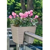Sakinimo dėžė balkono turėklams "sahara" 27cm, šviesiai pilka