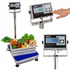 Satis Elektroninės sandėlio svarstyklės iki 150 kg 40x50 cm su patvirtinimu, platforminės