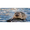 Seal Magic Din A3 kalendorius 2023 metams. Ruoniai ir jūrų liūtai. Seelenzauber