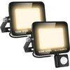 Skyworld led prožektorius su judesio davikliu pir, 2 vnt., 10 w, 1000 lm led lauko prožektorius, 4000 k šiltai balta led lempa, lauko šviestuvas, atsparus vandeniui, skirtas kiemui, garažui, sodui, automobilių stovėjimo aikštelei