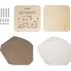 Sodertex Loolipo L635935 biologinės įvairovės rinkiniai gėlių ir lapų presas 20,5 x 18 cm