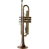 Symphonie Westerwald® trimitas, perinet trimitas, koncertinis trimitas, auksinis žalvaris su monel ventiliais, įskaitant prabangų kietą dėklą ir priedus