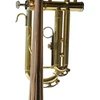 Symphonie Westerwald® trimitas, perinet trimitas, koncertinis trimitas, auksinis žalvaris su monel ventiliais, įskaitant prabangų kietą dėklą ir priedus