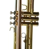 Symphonie Westerwald® trimitas, perinet trimitas, koncertinis trimitas, auksinis žalvaris su monel ventiliais, įskaitant prabangų kietą dėklą ir priedus