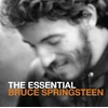 Vinilinė plokštelė The Essential Bruce Springsteen
