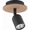 Lubinis šviestuvas Tk Lighting Elegantiškas dizainas: Tklighting lubų šviestuvas