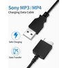 Usb laidas Sony Walkman Nwz-e585 įkrovimui ir duomenims