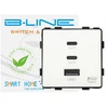 Usb lizdas a plius 2x usb c greitas įkrovimas fast charge 65w