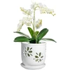 Vensovo keramikinis orchidėjų vazonas su skylutėmis ir lėkštele 15cm orchidėjų vazonai persodinimui baltas vazonas augalams skatina oro cirkuliaciją elegantiškas dizainas vidaus patalpoms