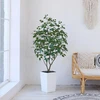 Verinatural dirbtinis augalas 150 cm ficus dirbtiniai augalai didelė balkono dekoracija - 600 lapų, atsparus uv spinduliams, realistiškas plastikinis didelis augalas - svetainei, laukui, biurui, vidui