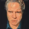 Vinilinė plokštelė Lloyd Cole - Guesswork