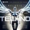 Vinilinė plokštelė Melodic Techno 2025