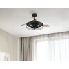 Westinghouse Lighting Dunlin 105cm led lubų ventiliatorius su apšvietimu ir nuotoliniu valdymu, matinis juodas, su gaubto gaubtu ir ištraukiamais sparnais