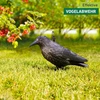 Windhager sodo figūrėlė varnas, balandžių atbaidymo priemonė ir baidyklė iš plastiko, kenkėjų kontrolė, apsauga nuo erzinančių paukščių, varna, balandžių baidyklė, 37 cm, 07117, juoda