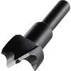 Wolfcraft 3305000 20 mm gręžimo karūna