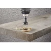 Wolfcraft 3305000 20 mm gręžimo karūna